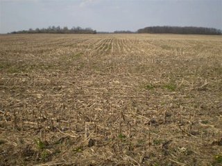 Intensive Grain Crop Farm.  276 acres.  Very productive farm.  Has excellent natural drainage.  Owners have signed lease for wind power development.
Possession is at closing.
High School - Monroe Central High School
Electric Source - AEP  - 276 Acre Intensive Grain Crop Farm